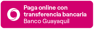 Transferencias GYE