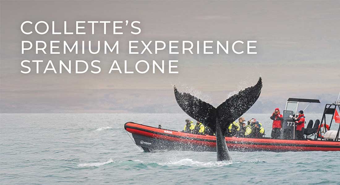 Collette Launches Premium Experience Video to Empower Travel Advisors