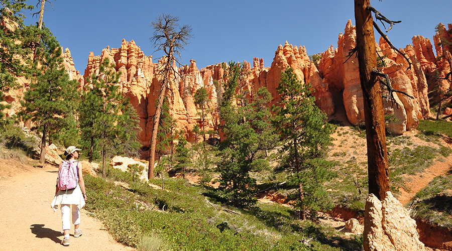 Best Times to Visit U.S. National Parks - Collette Tours
