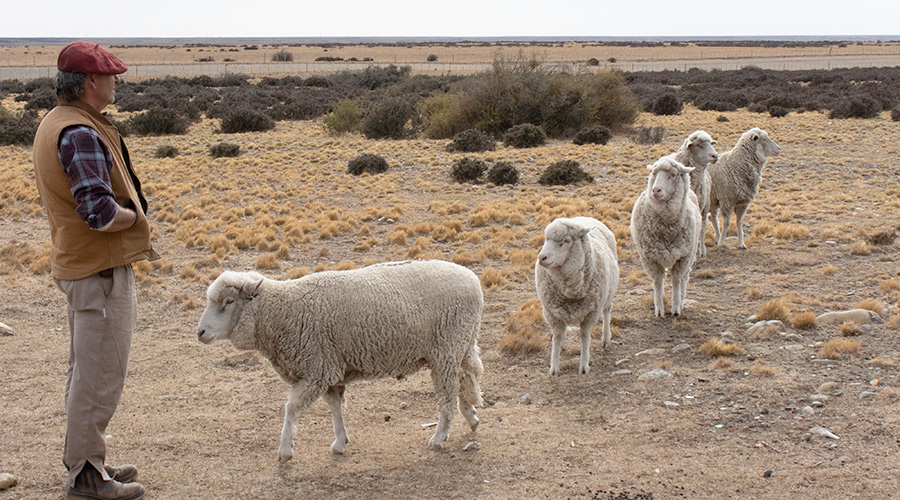 Meet The Gauchos Of Patagonia