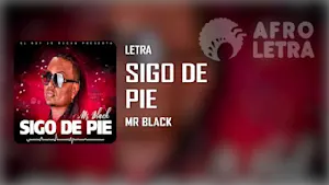 Imagen representando Sigo de Pie (Si me caigo me levanto) de Mr Black