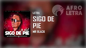 Letra - Sigo de Pie (Si me caigo me levanto) de Mr Black