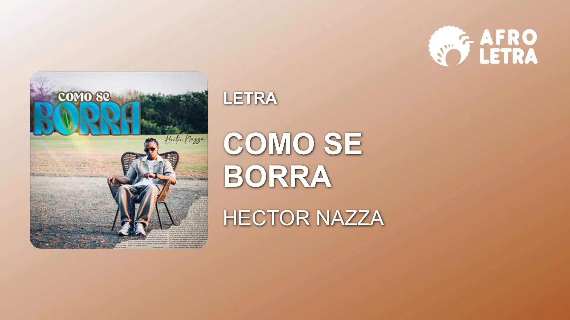 Imagen representando Como Se Borra de Hector Nazza