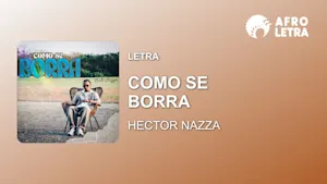 Imagen representando Como Se Borra de Hector Nazza