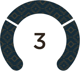 Use your points any way you want