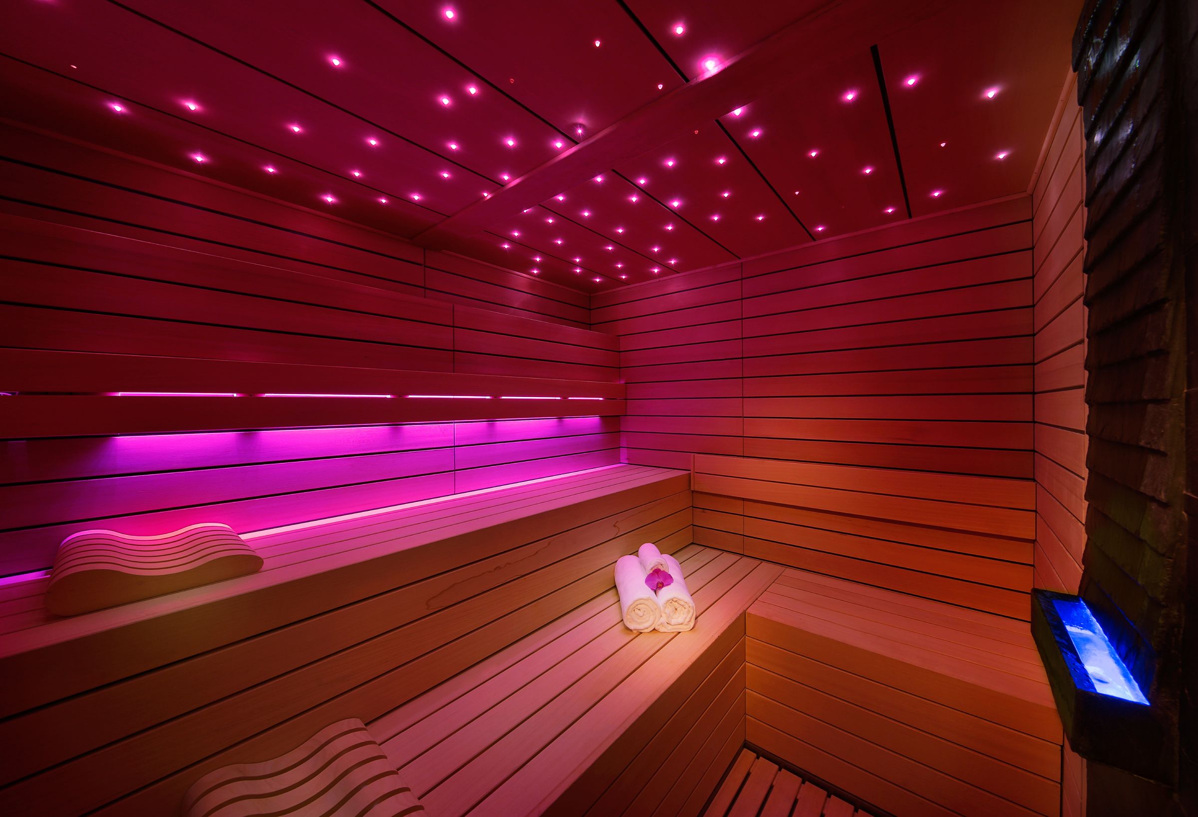 صورة المعرض