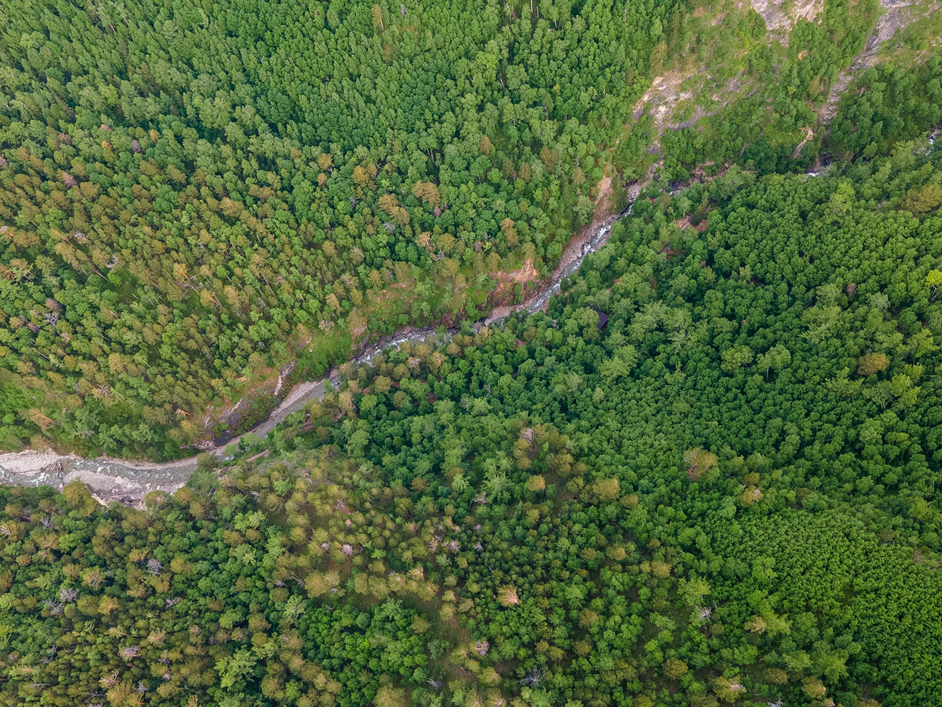 BUILDING A GREENER FUTURE TOGETHER