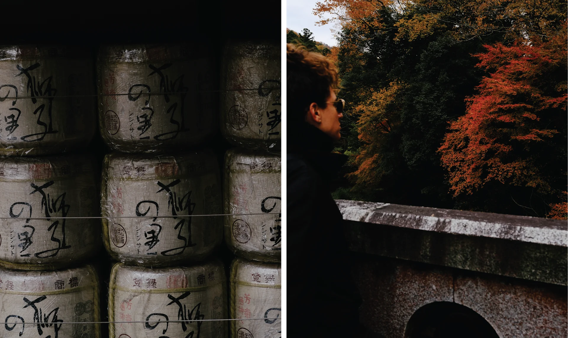 Sake barrels stacked in rows at Meiji Shrine in Tokyo paired with a traveler gazing at autumn foliage in Kyoto