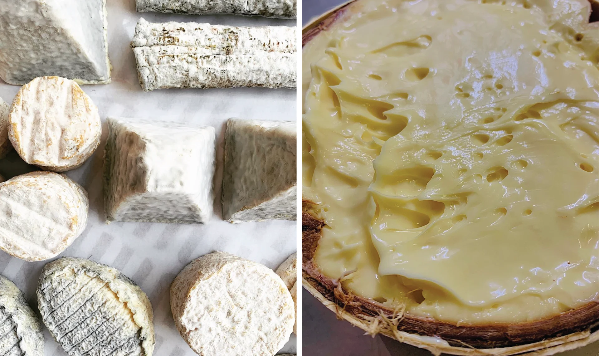 Taka & Vermo Paris showcasing artisanal charcuterie and natural wines in a convivial bar setting