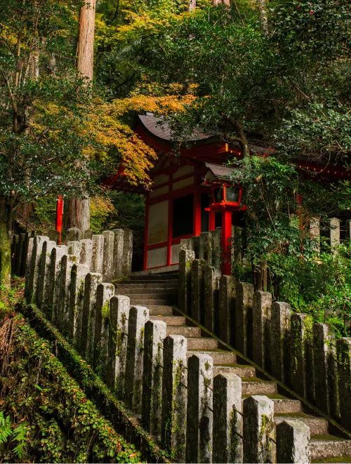 The Mount Kurama Pilgrimage