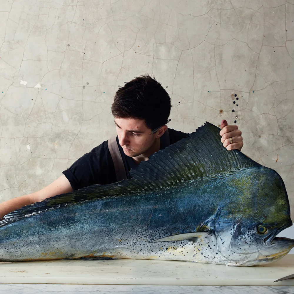 Hero_Opener_SQcredit Rob Palmer.png