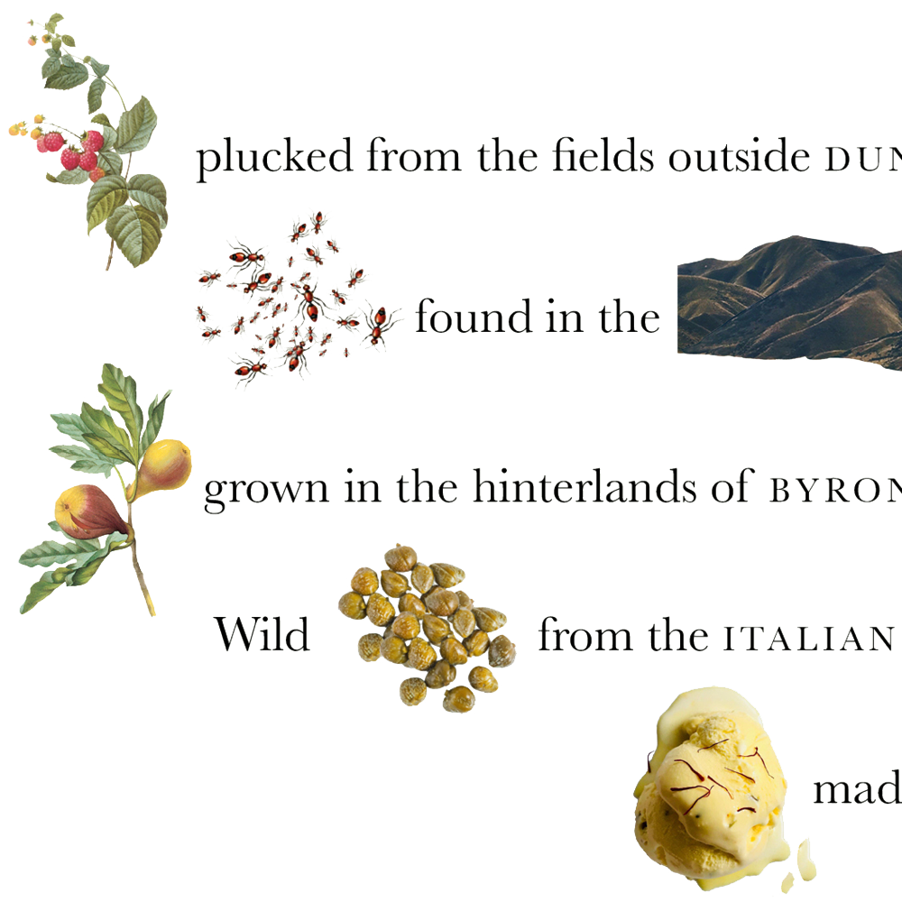 Adventurous Palettes