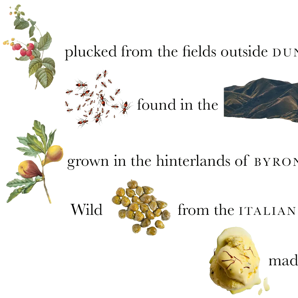 SQ_ADVENTUROUS PALETTES.png