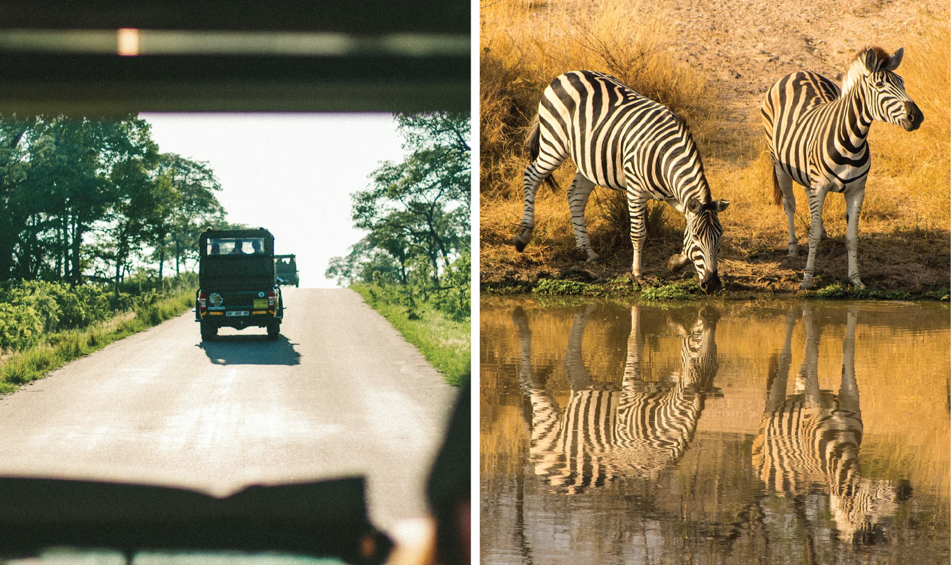 Bush and Beach, Better Together < Gallery 1 < Slide 3 < Image Kruger National Park, South Africa