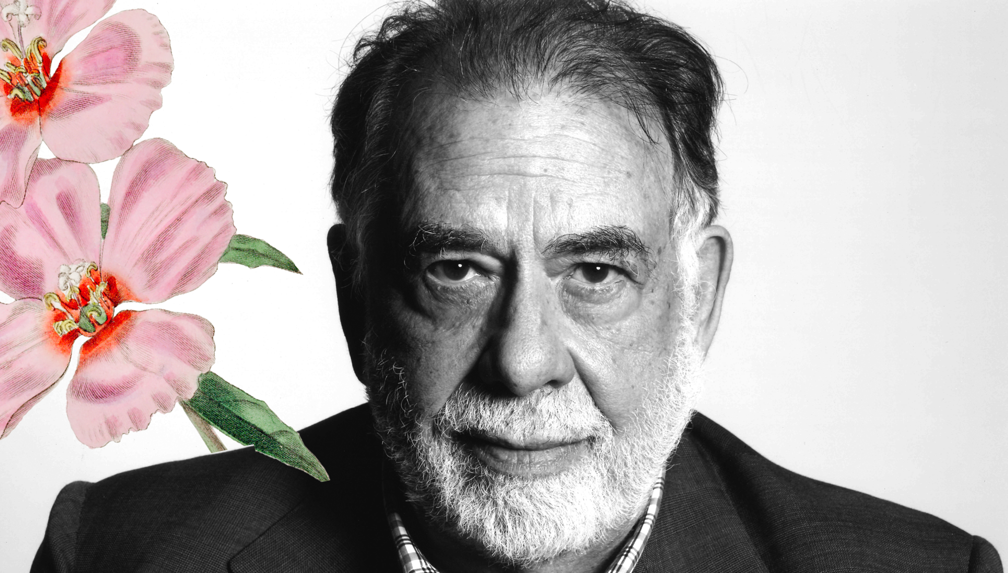 アート・デザイン・音楽 FRANCIS FORD COPPOLA RESORTS アート・デザイン・音楽 FRANCIS FORD COPPOLA RESORTS アート