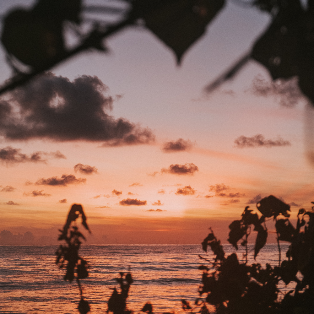 The Great Solo Escapes