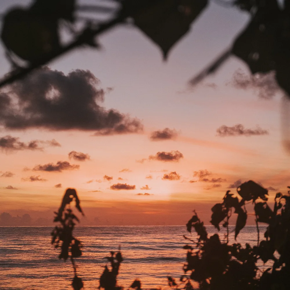 The Great Solo Escapes_SQ.png