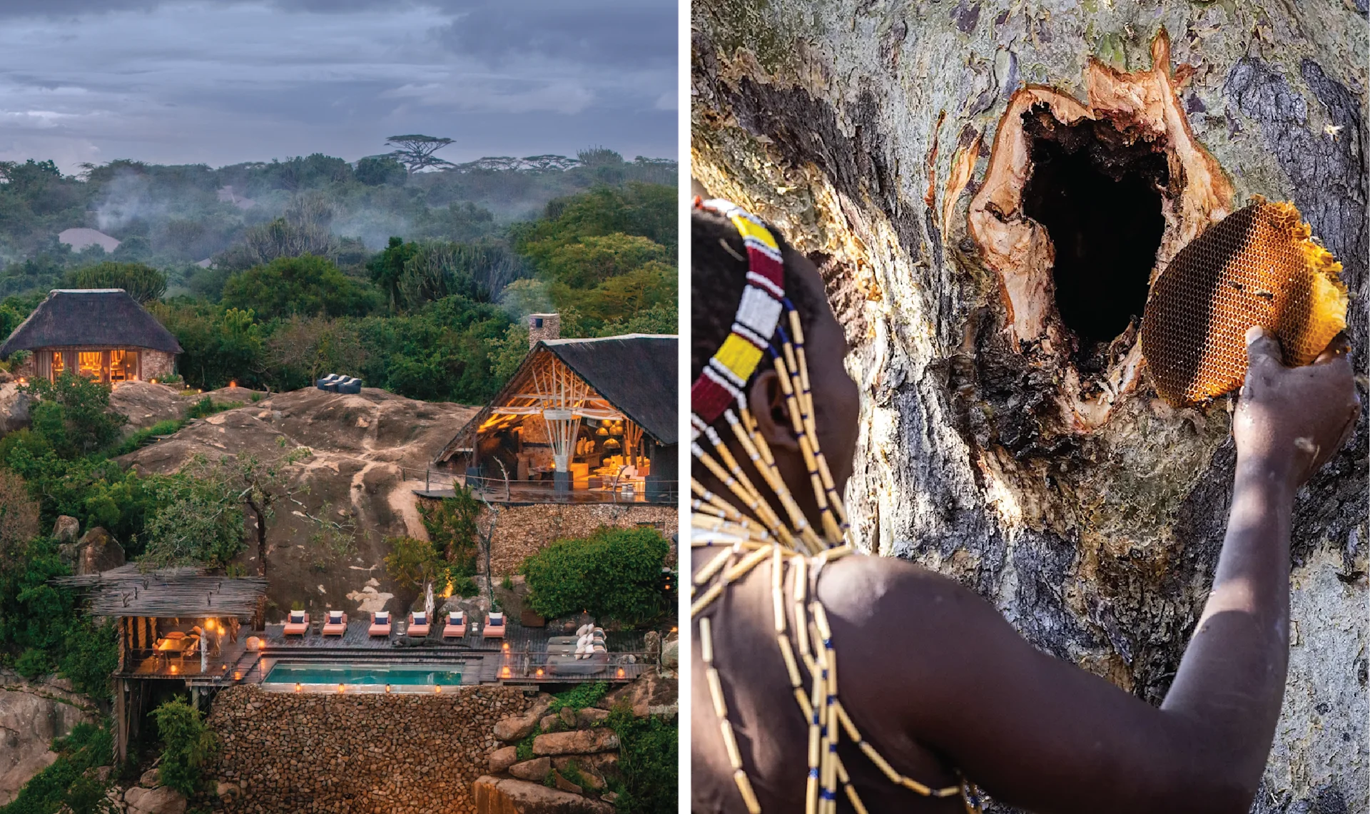 Bush and Beach, Better Together < Gallery 4 < Slide 1 < Image Courtesy Mwiba Lodge