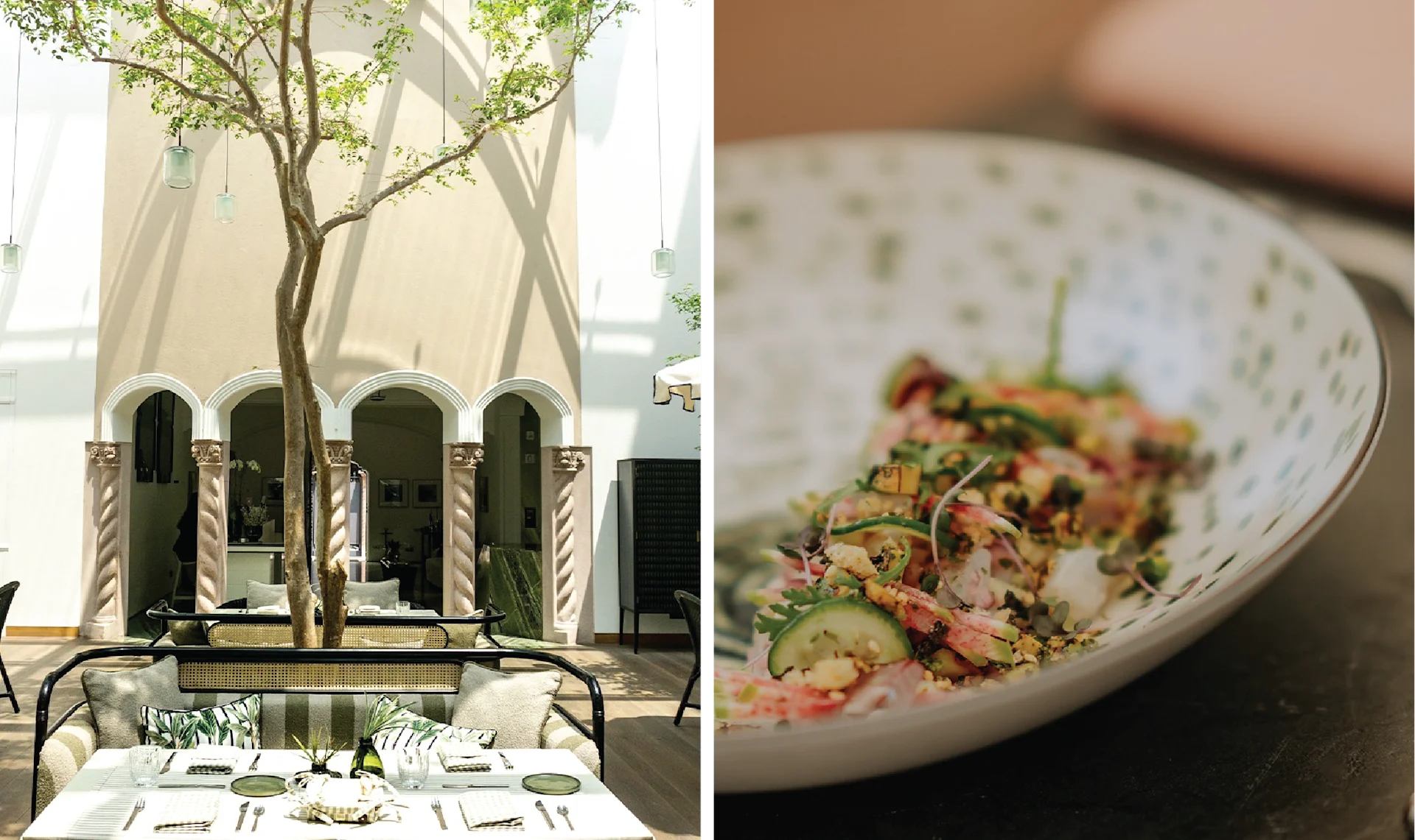 Checking In & Checking Out: Casa Polanco < Gallery 1 < Slide 5 < Image