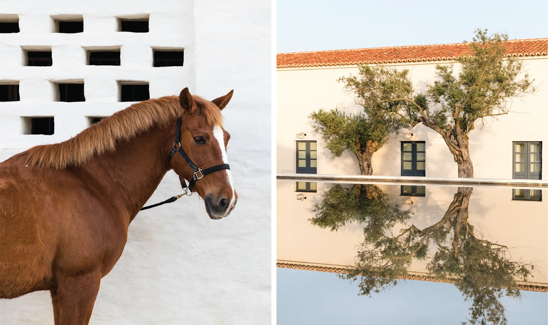 Checking In & Checking Out: São Lourenço do Barrocal < Gallery 1 < Slide 4 < Image