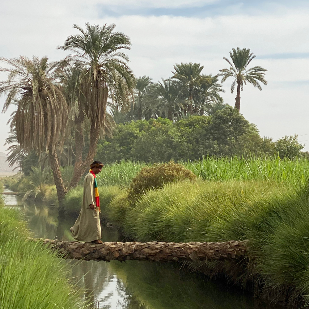 Egypt Through The Lens of Sibella Court