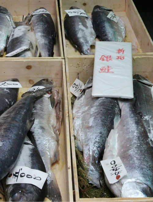 Sunrise Fish Market