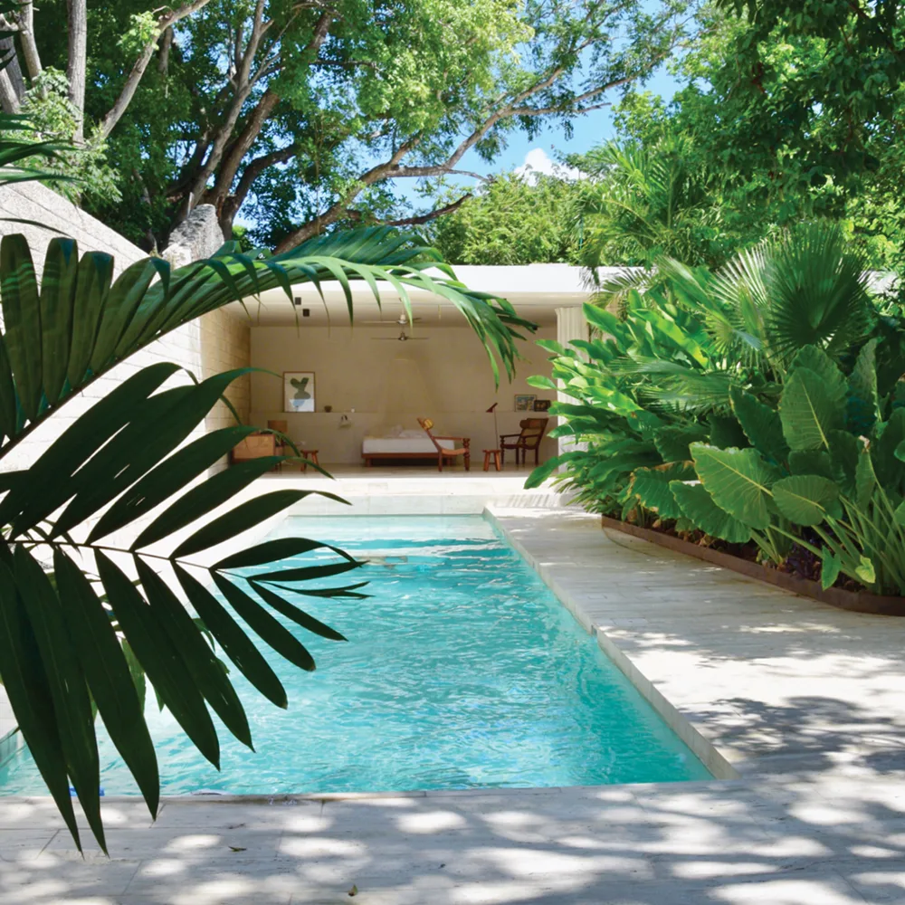 Hero_Square_01:29:21_La Tropical.png