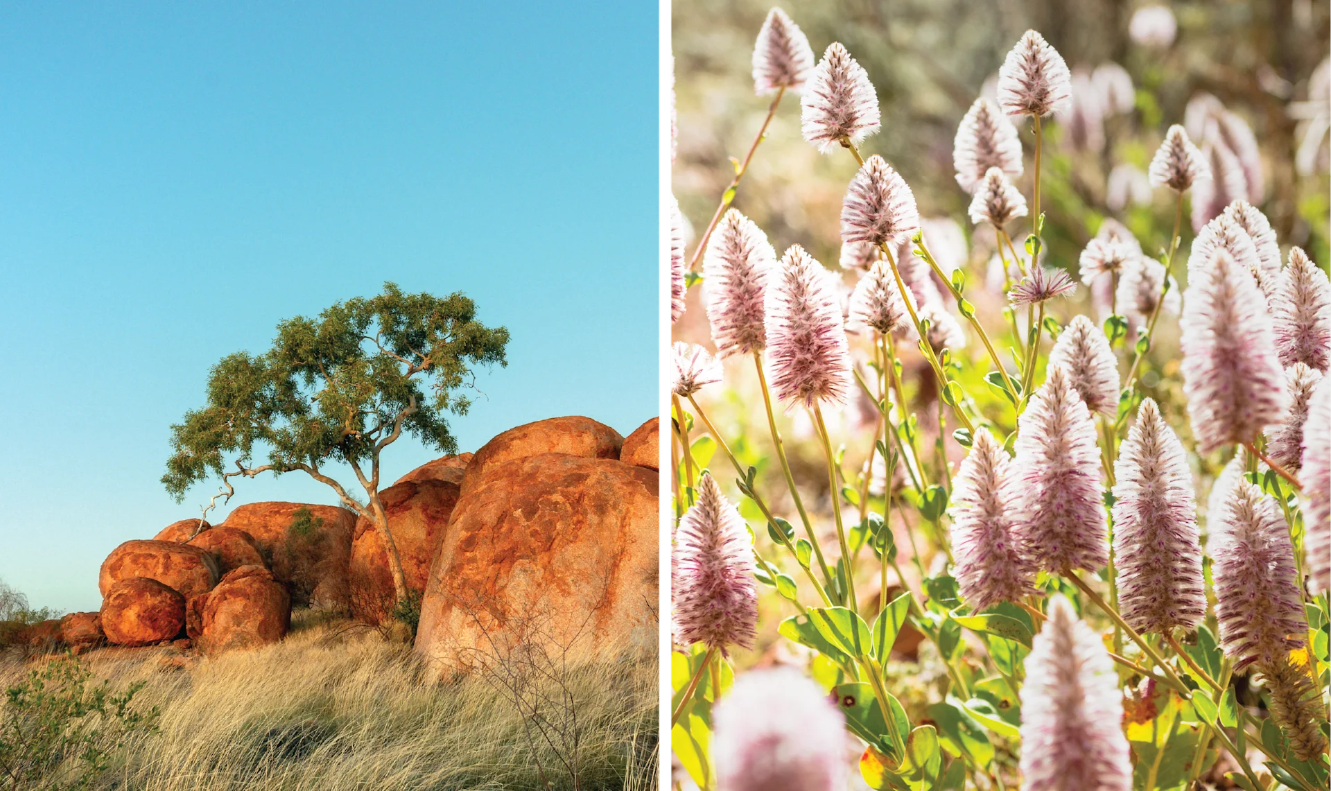 The Long Way to Uluru — Gallery 1 — slide 1