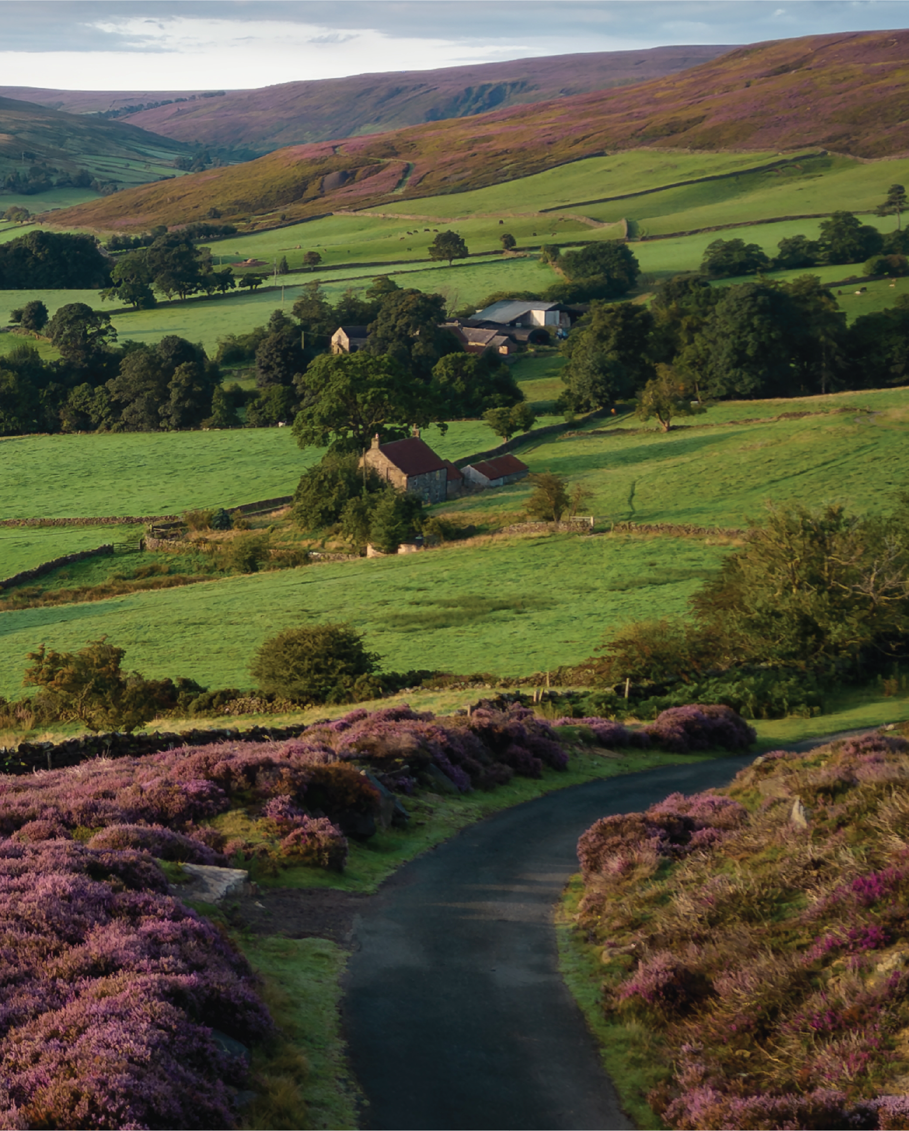The Landscape That Made ‘Wuthering Heights’