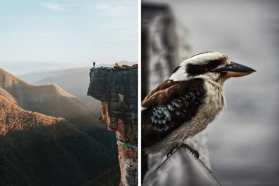 Australia Bespoke PRIOR2