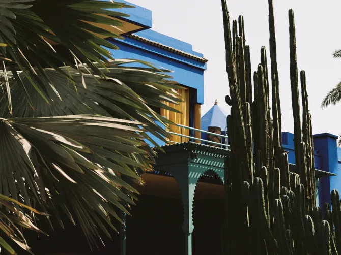 Building with palm tree 