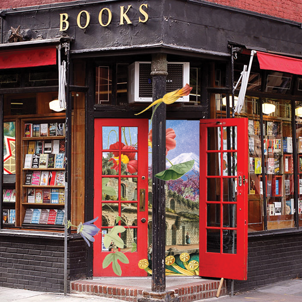 Looking at the Books