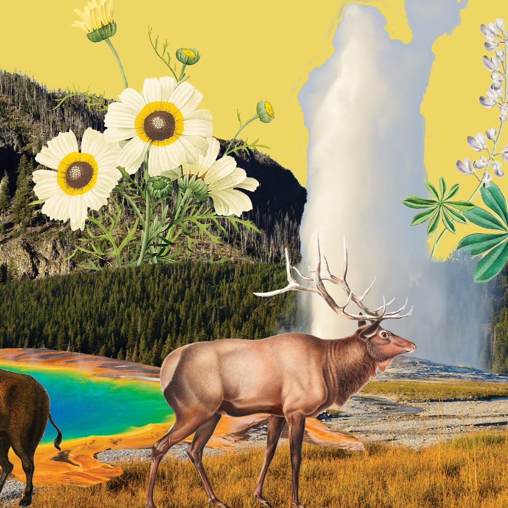 Which National Park Are You?