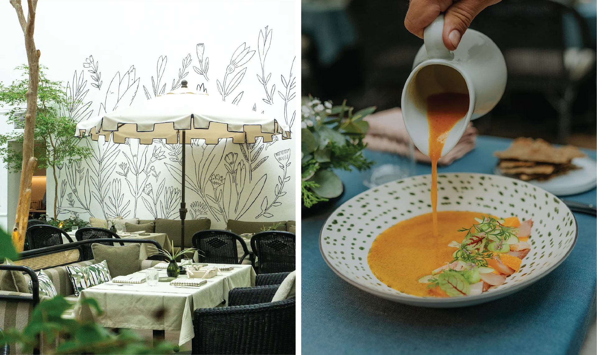 Checking In & Checking Out: Casa Polanco < Gallery 1 < Slide 2 < Image