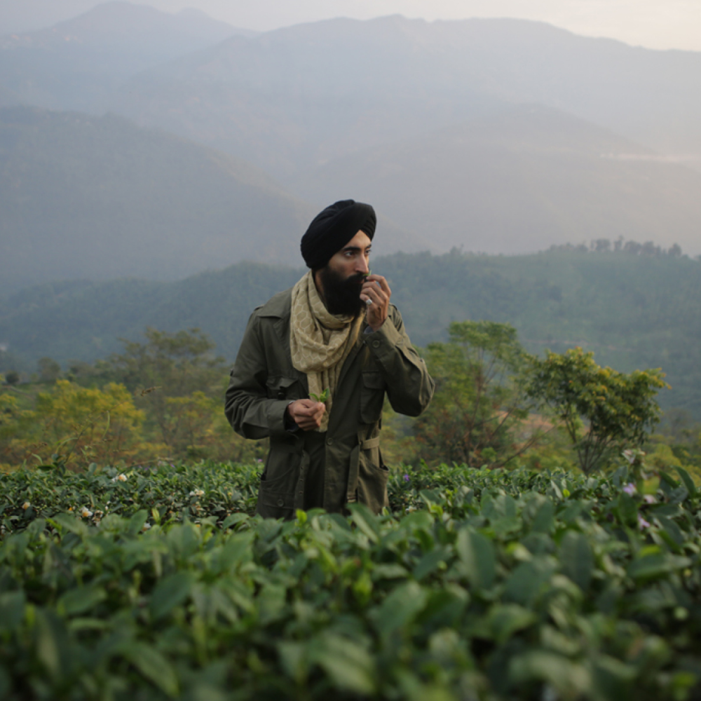 Tea’s Power to Take Us Away