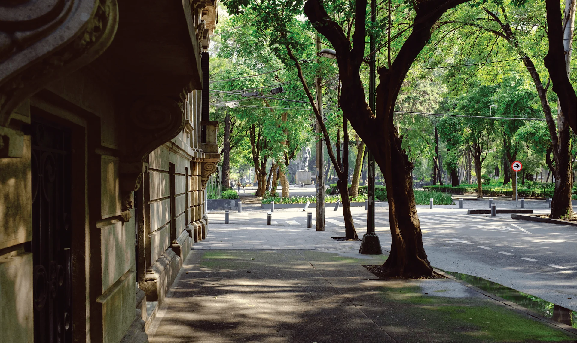 Quiet tree-lined street outside Casa Bosques Pensión with sunlight filtering through large green canopies.