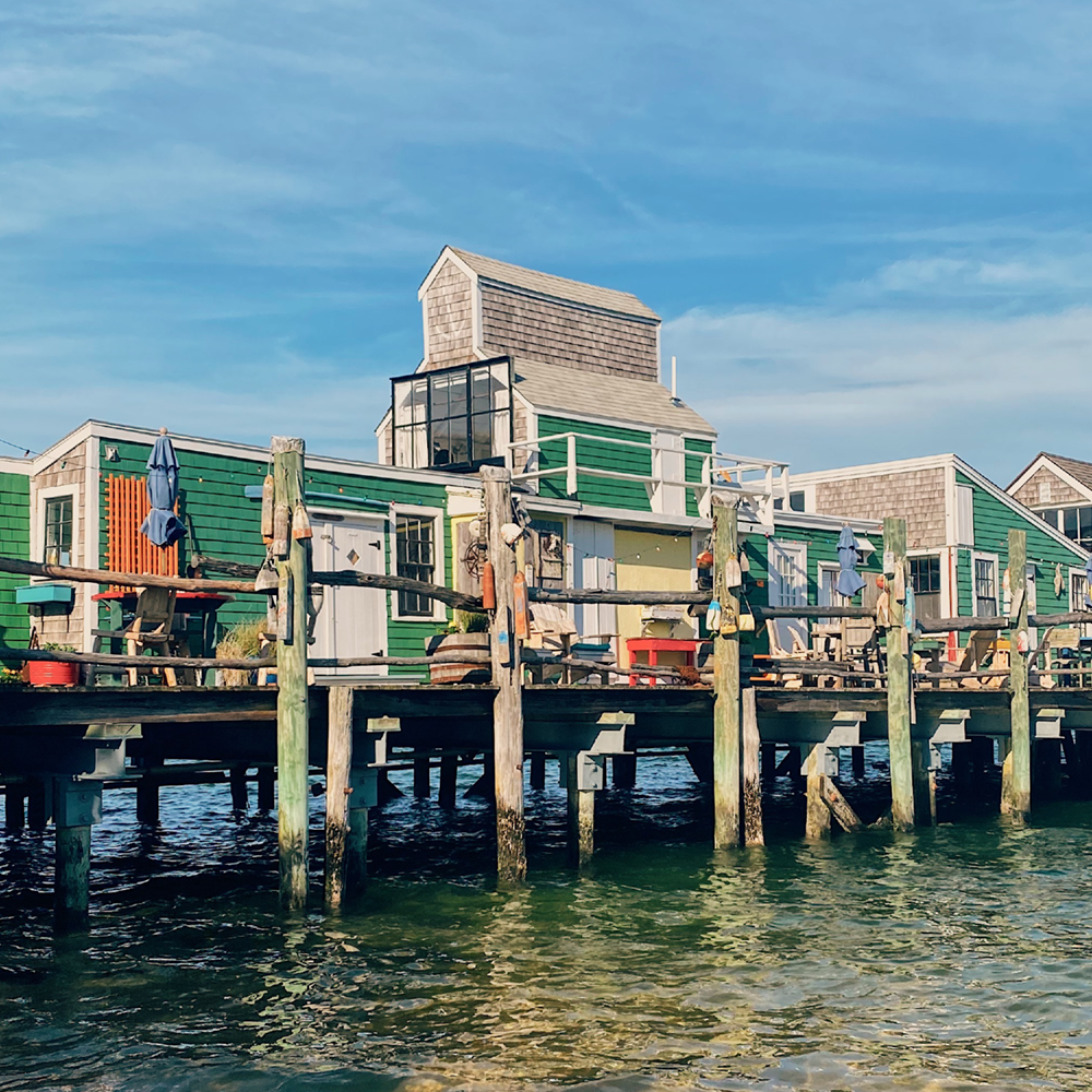 Perennial Provincetown