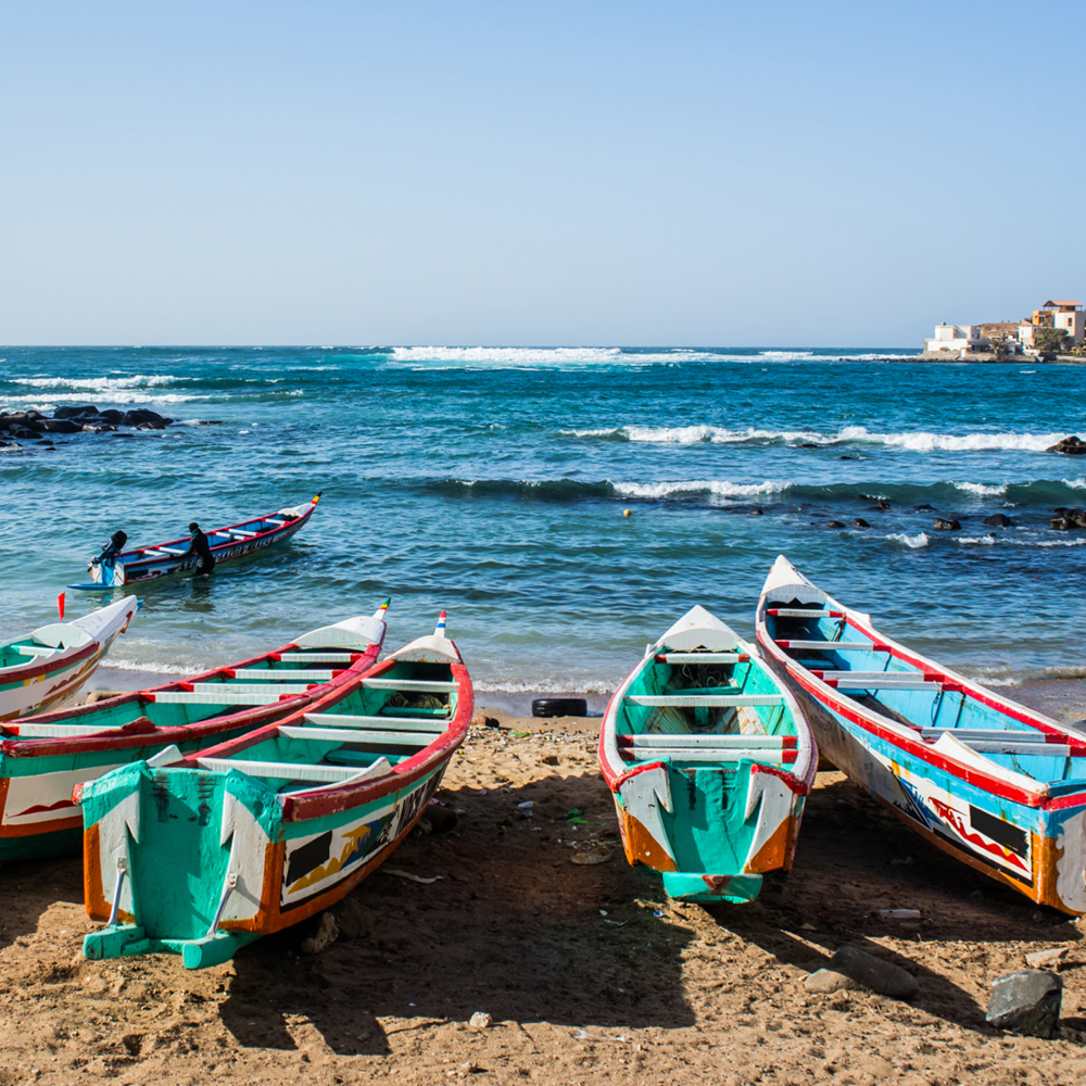 Seafood and Surfing in Senegal