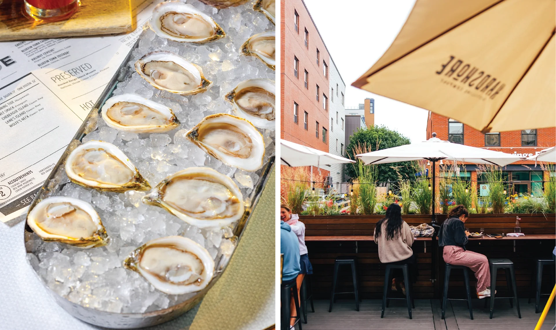 The World Is Your Oyster Bar < Gallery 3 < Slide 1 < Image