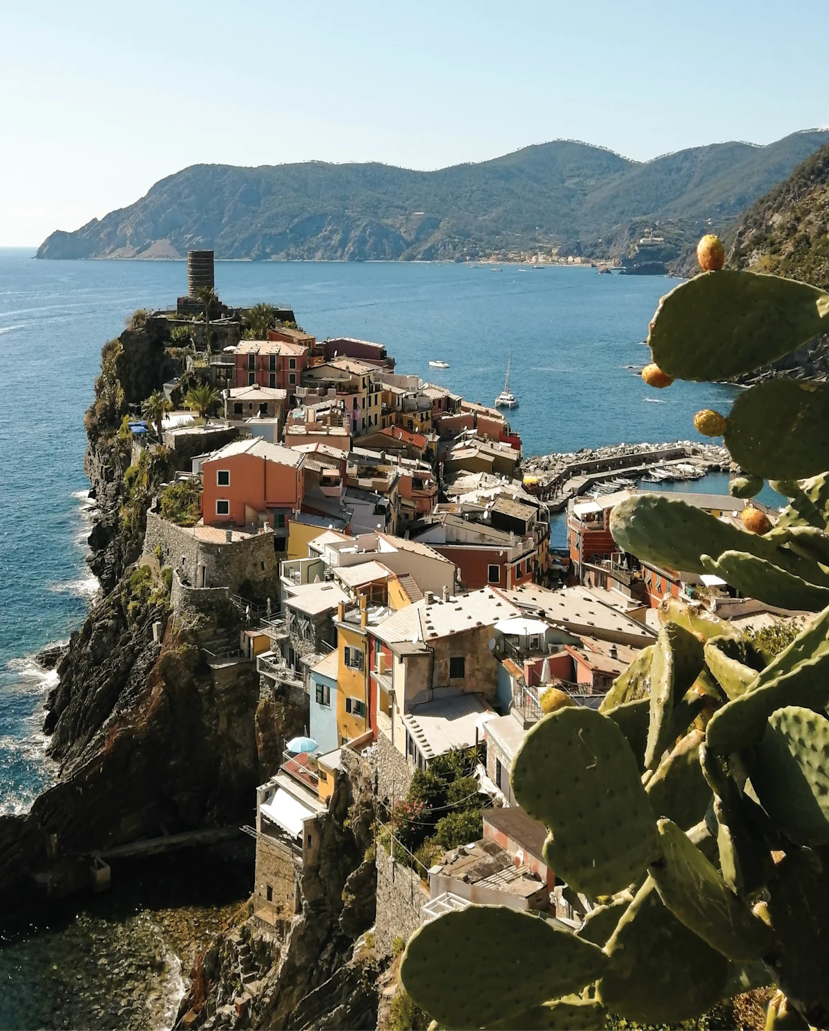 5.17.25_Liguria_INDEX.png