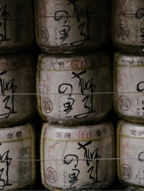 Sake Brewery Visit