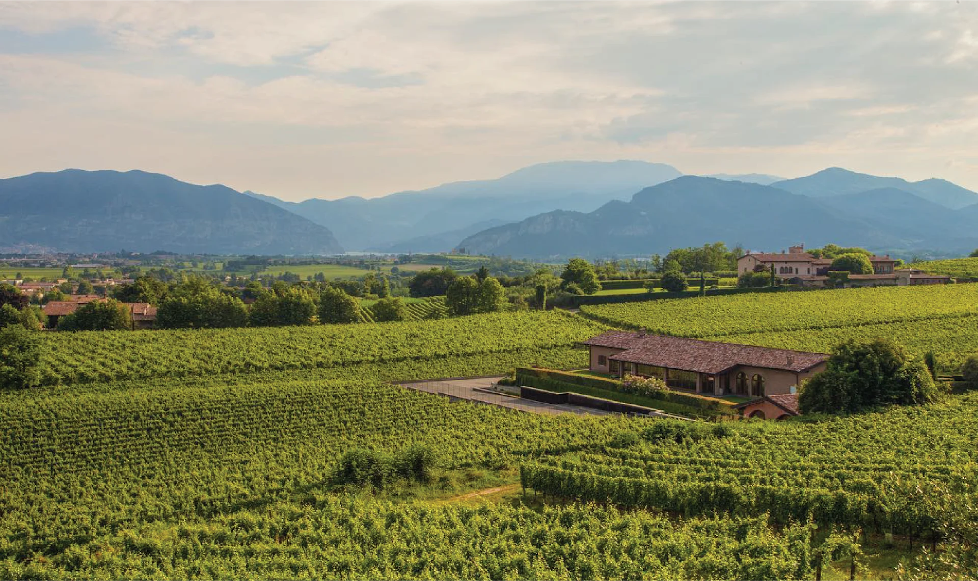 Elegant façade and vineyards of Ronco Calino winery in Franciacorta, reflecting the estate’s blend of architecture and landscape.
