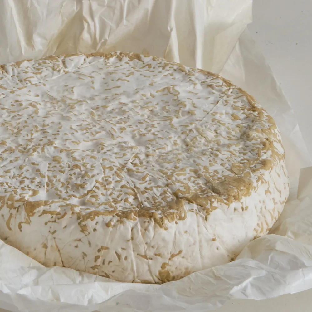 Camembert .png