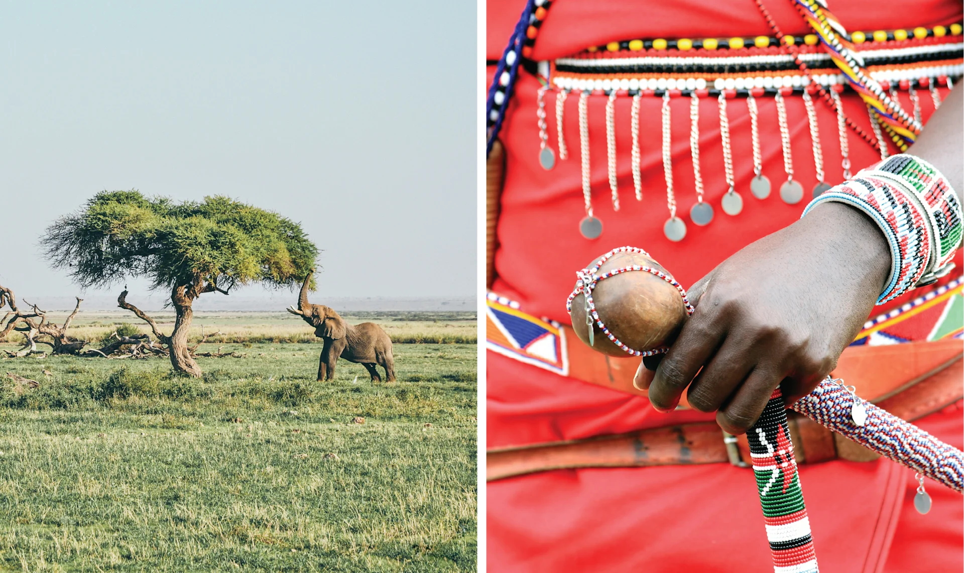 Bush and Beach, Better Together < Gallery 1 < Slide 1 < Image Amboseli National Park, Kenya — Courtesy Susan Kirsch