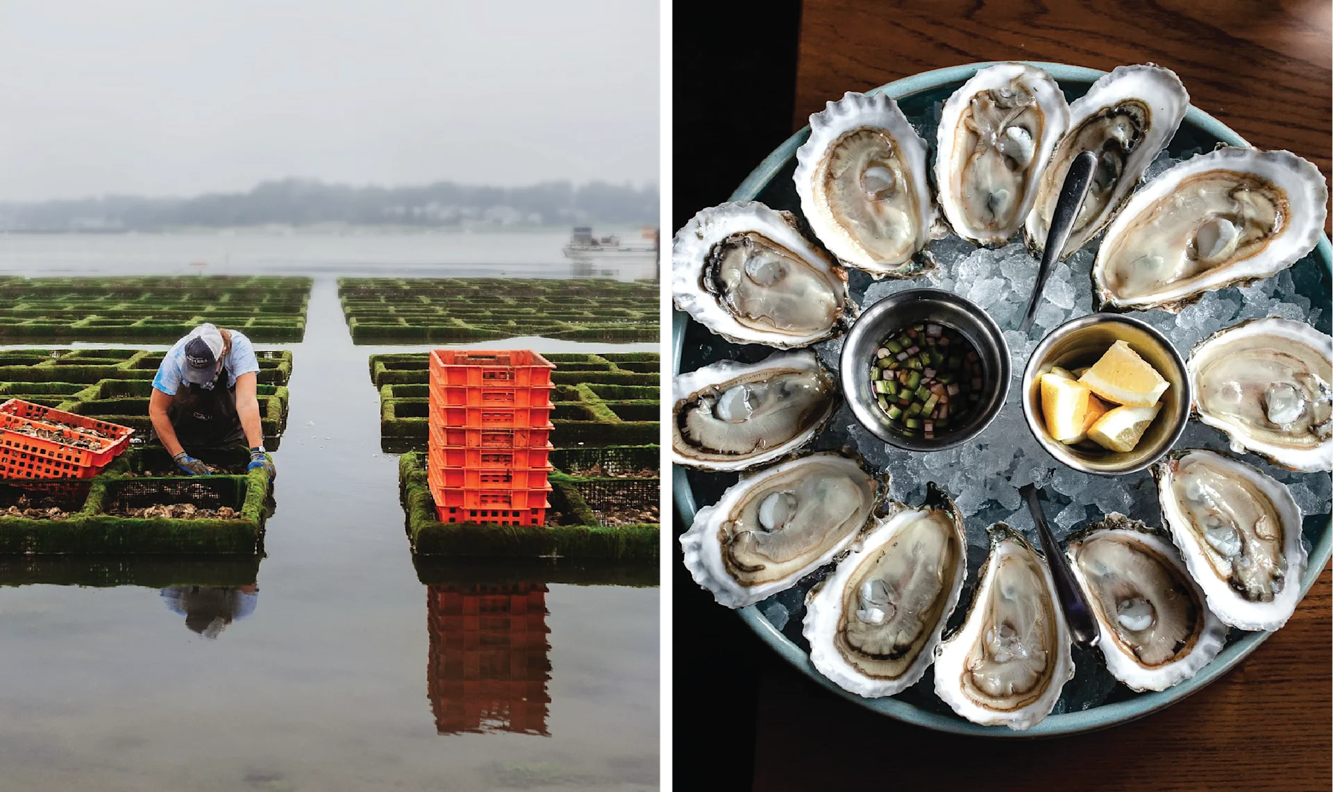 The World Is Your Oyster Bar < Gallery 2 < Slide 2 < Image