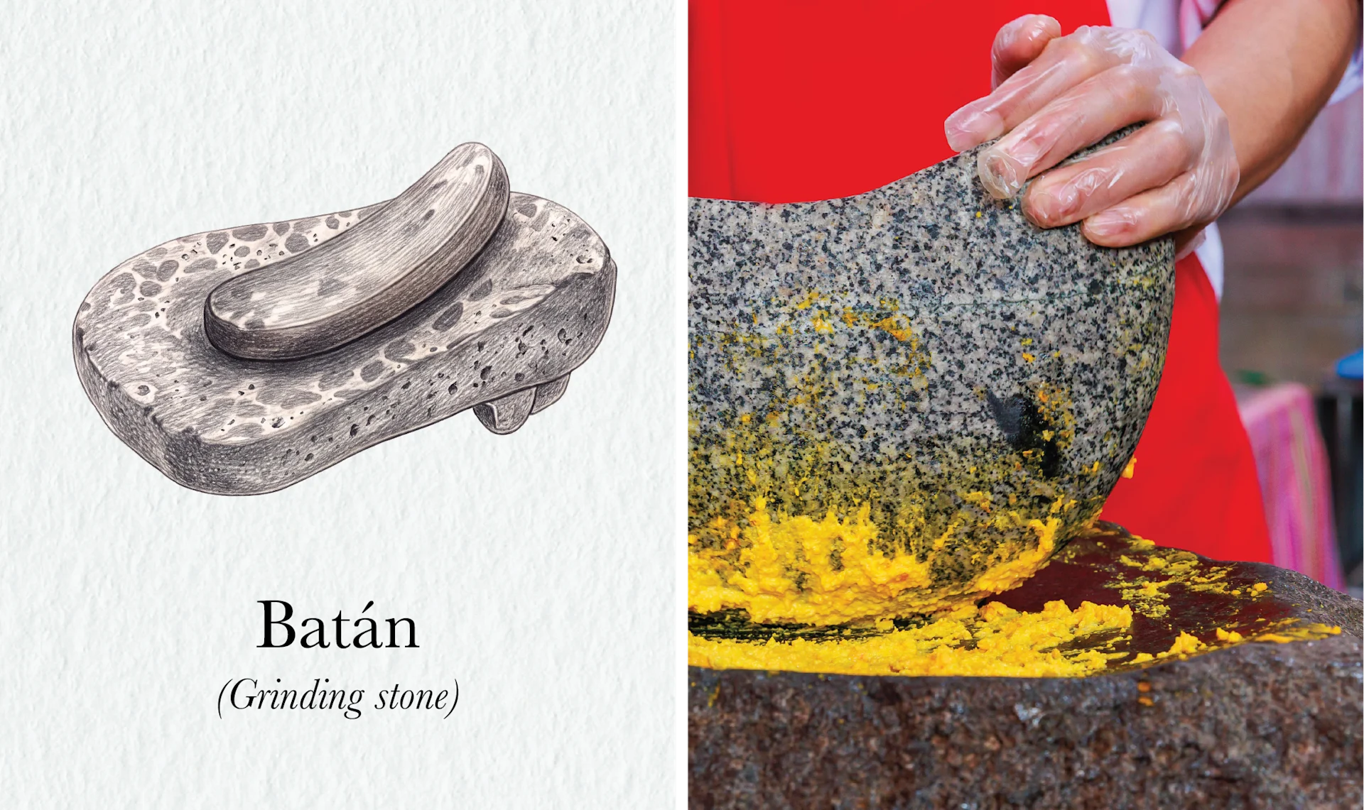 The Fire Still Burns in Peru’s Picanterías < Gallery 1 < Slide 3 < Image Watercolor of a batan grinding stone beside a photograph of a cook rocking one through bright yellow aji paste.