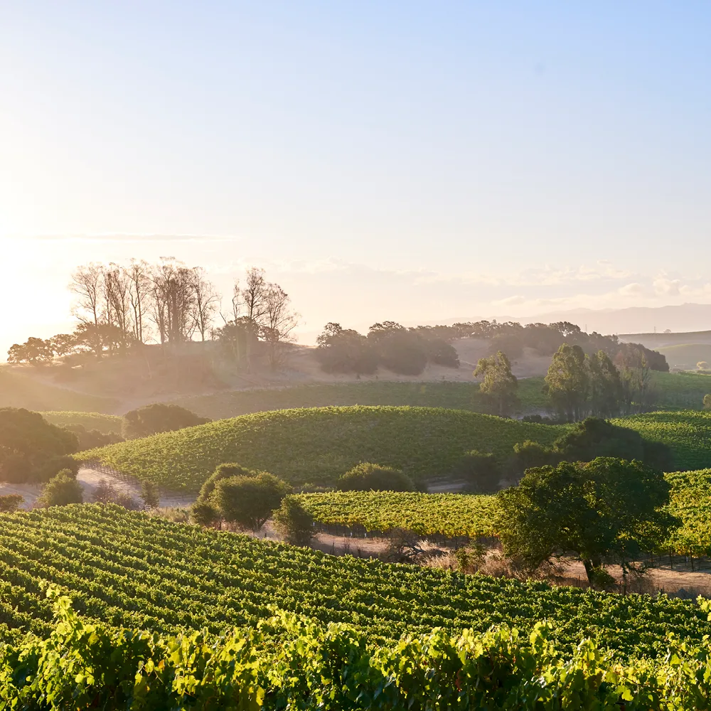 Hero_Square_01:22:21_Napa_CO Hudson Ranch.png