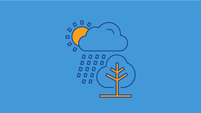 Animated Ecological Resilience