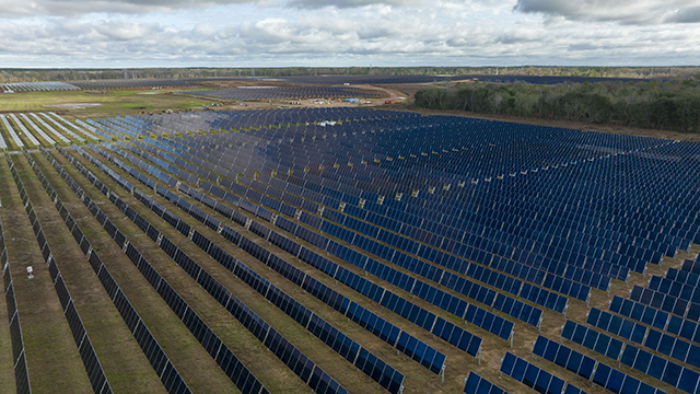 Large field of solar panels
