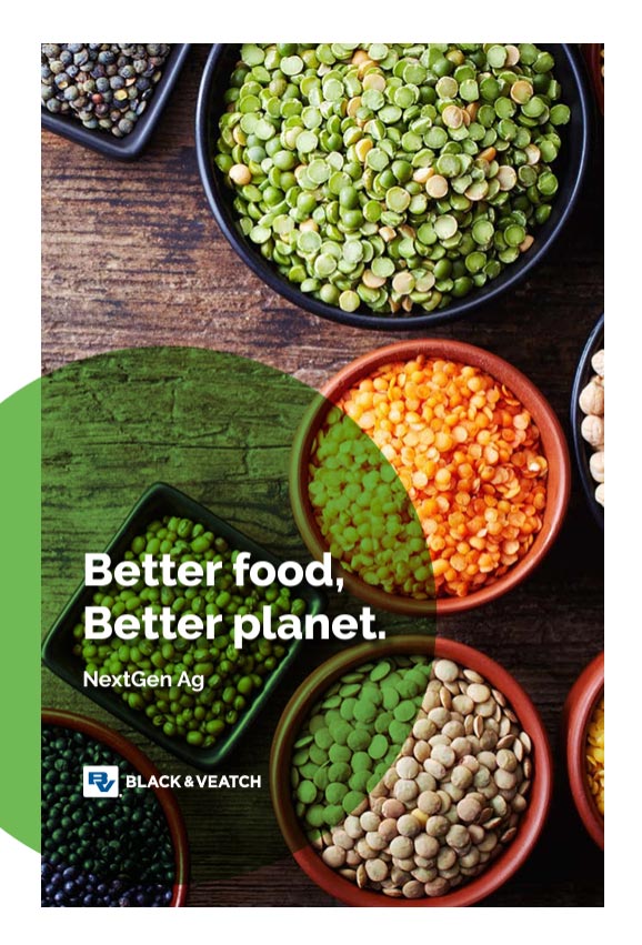 FB Better-Food-Planet Brochure-Thumb image